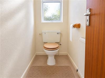 Picture 7